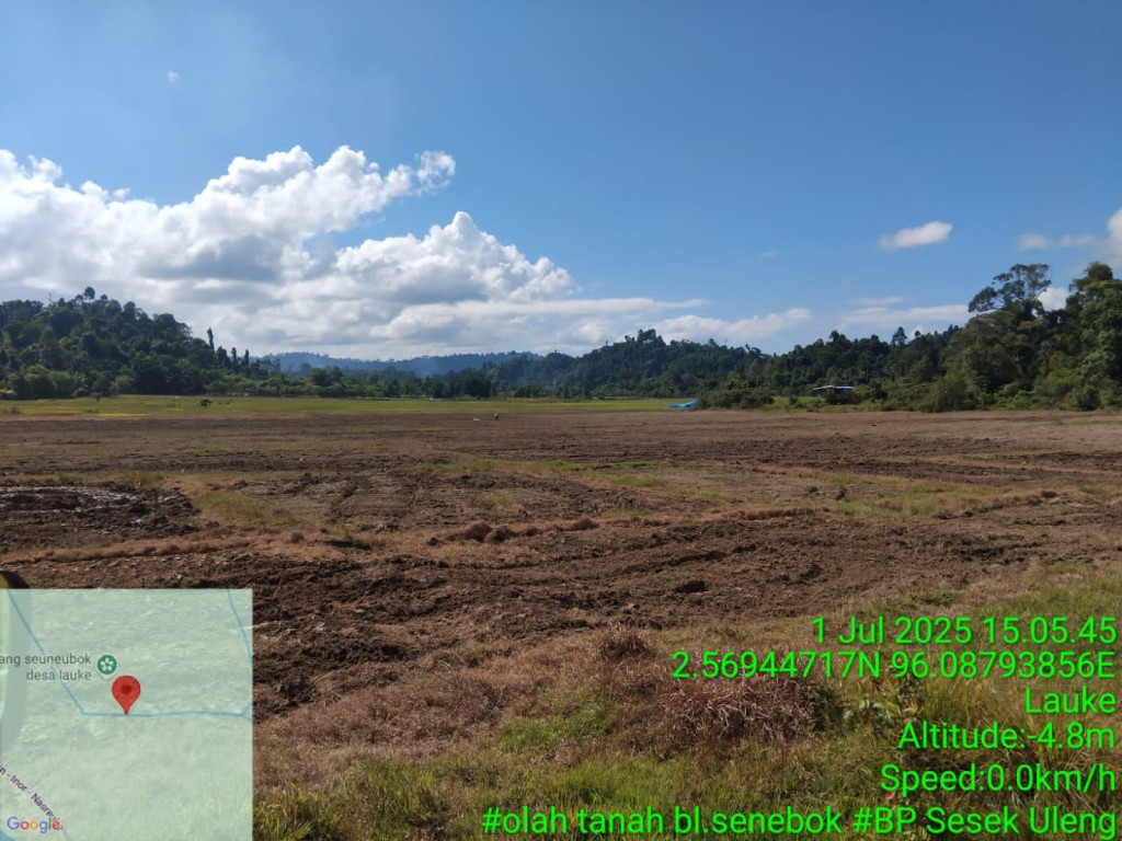 Unggulan Desa Lauke Pada Sektor Pertanian, Mejadi Salasatu komoditi yang di proritaskan masyarakat